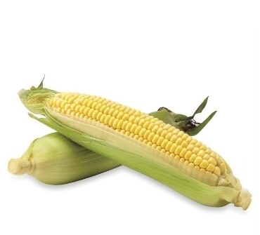 Yellow Corn
