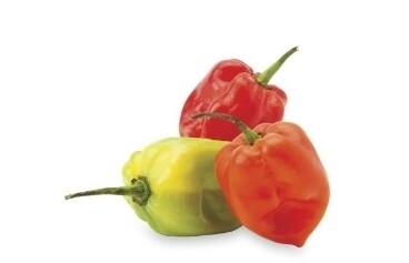 Scotch Bonnet Hot Peppers