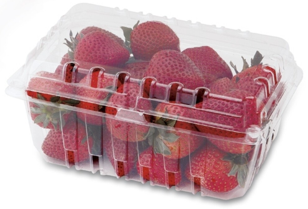 Strawberry Box (Small Plastic)