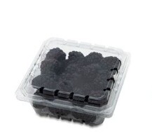 Blackberries Box (Small Plastic)