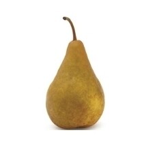 Bosc Pear