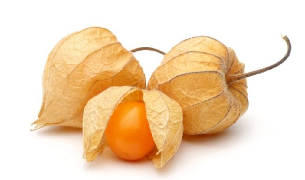 Physalis Fruits