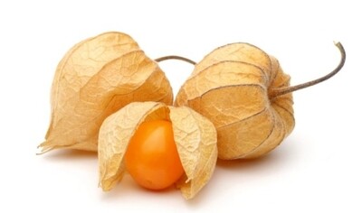 Physalis Fruits
