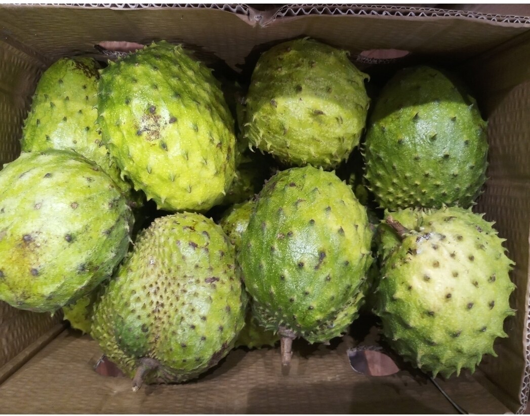Soursop (Guanabana) Box