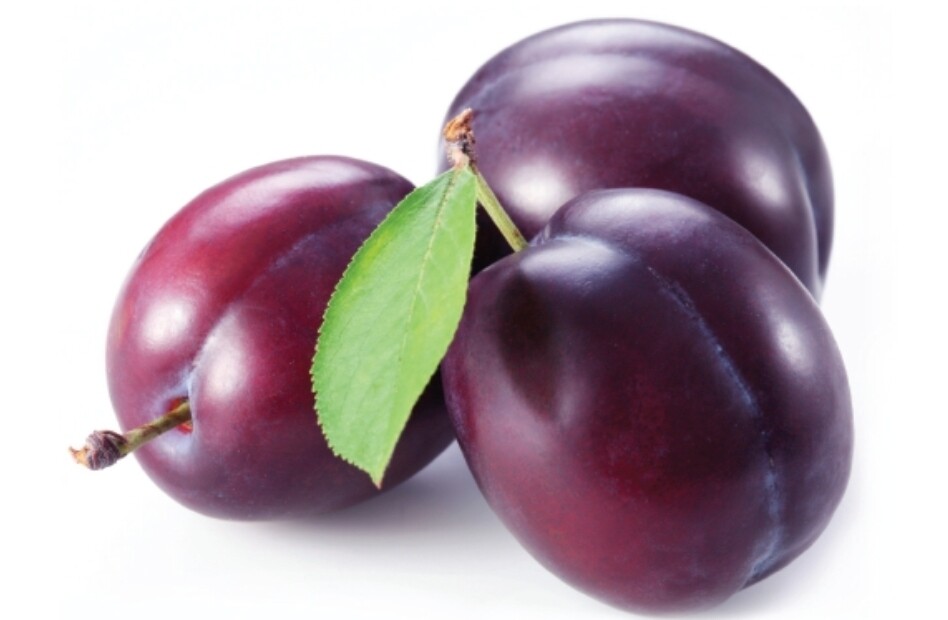 Plum