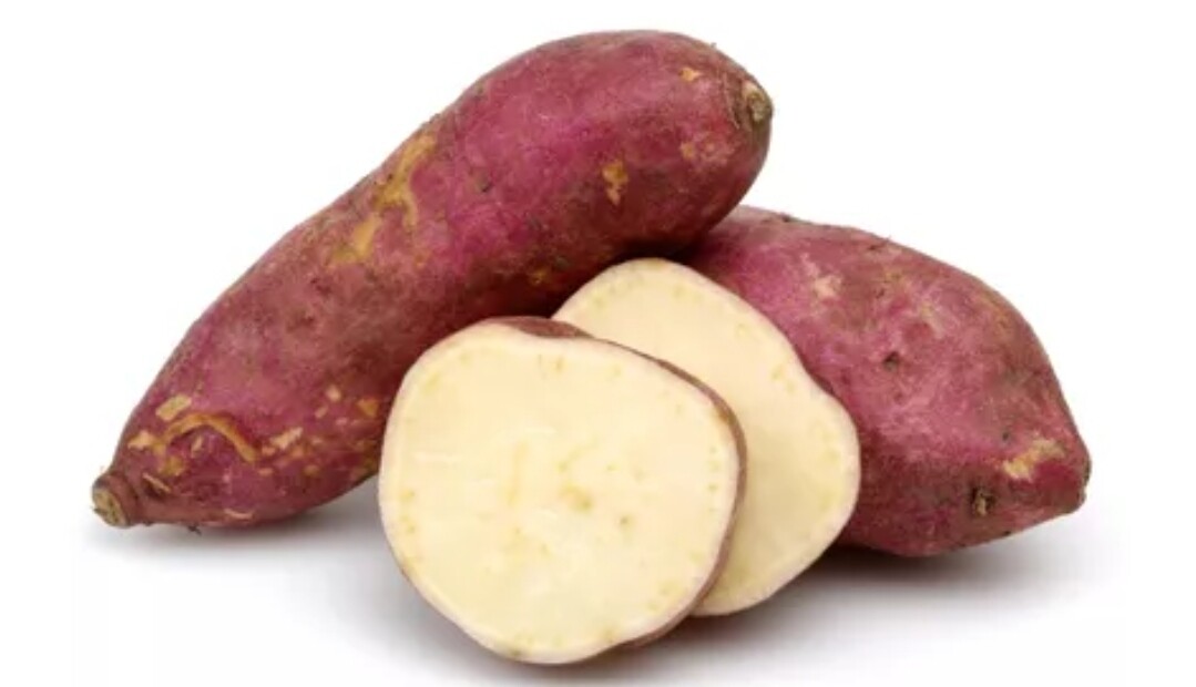 Batata Root