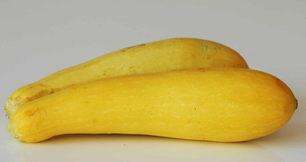Yellow Squash