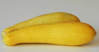 Yellow Squash