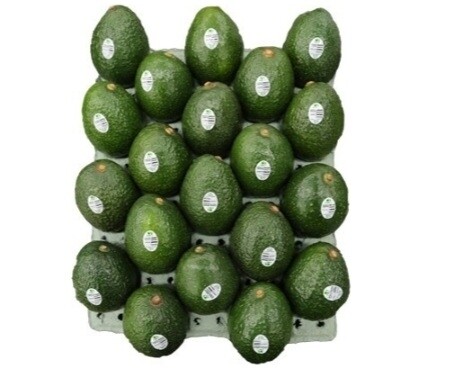 Hass Avocado Box