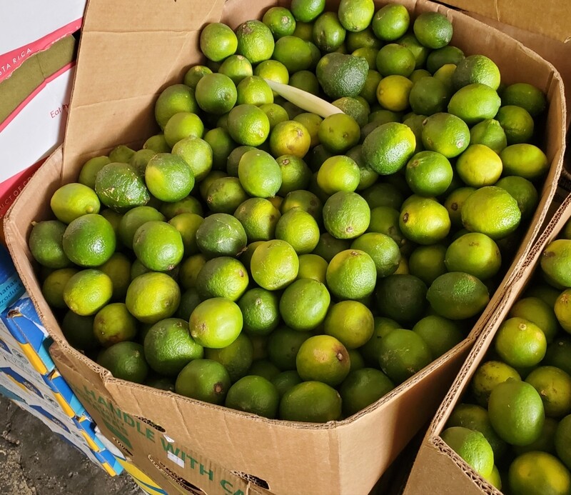 Lime Box - 200 ct