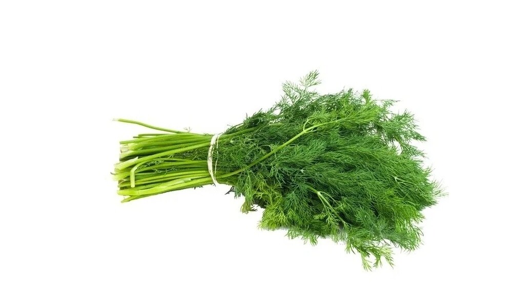 Dill