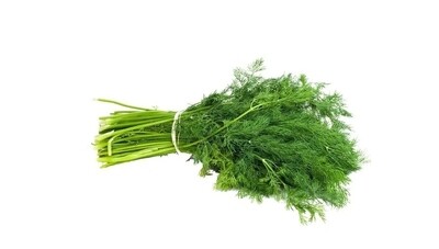 Dill