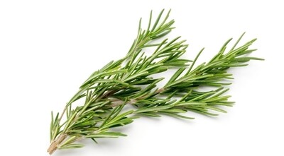 Rosemary
