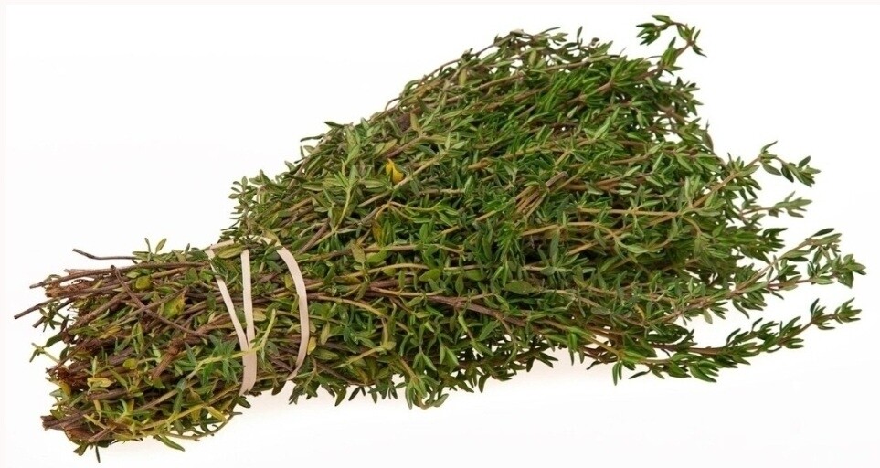 Thyme