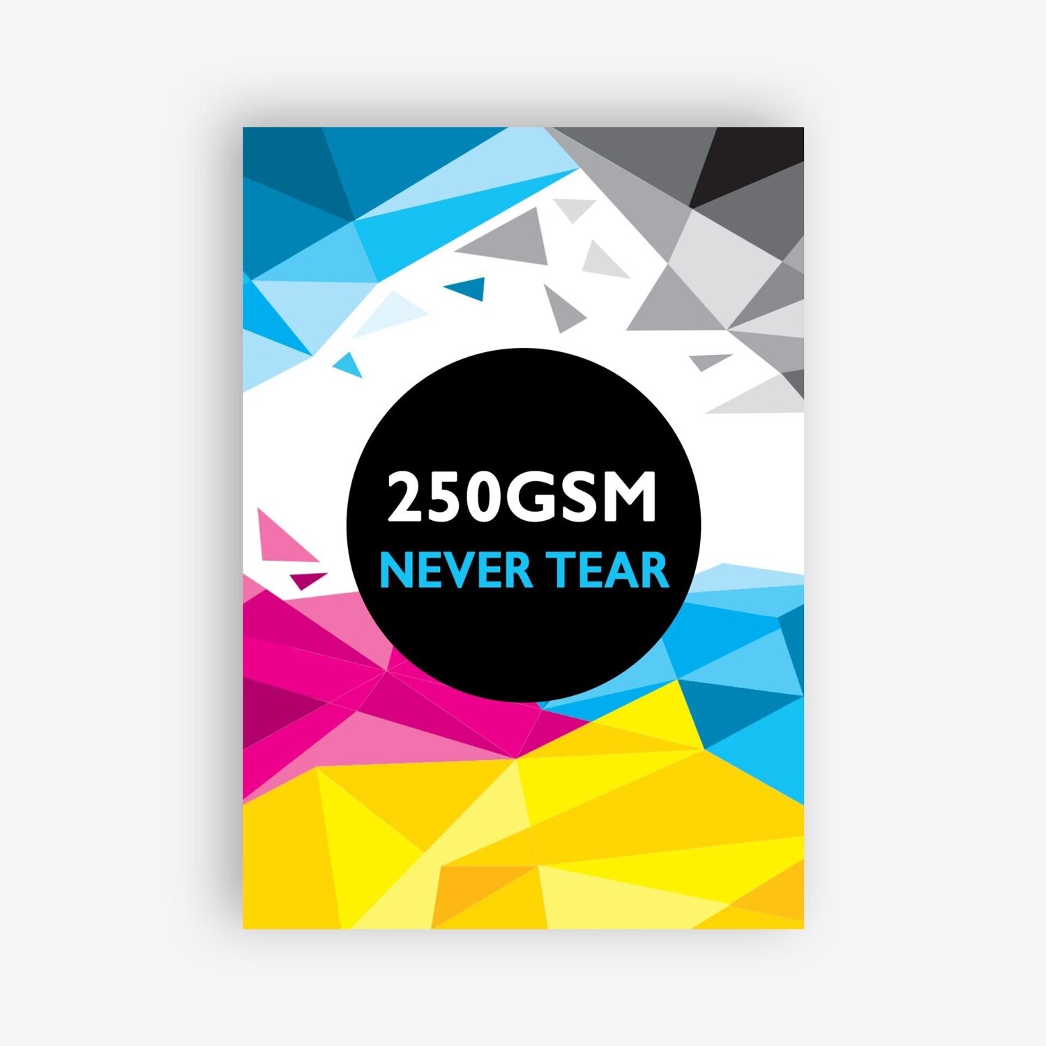 DL FLYER • 250gsm MID-WEIGHT WATERPROOF NEVERTEAR