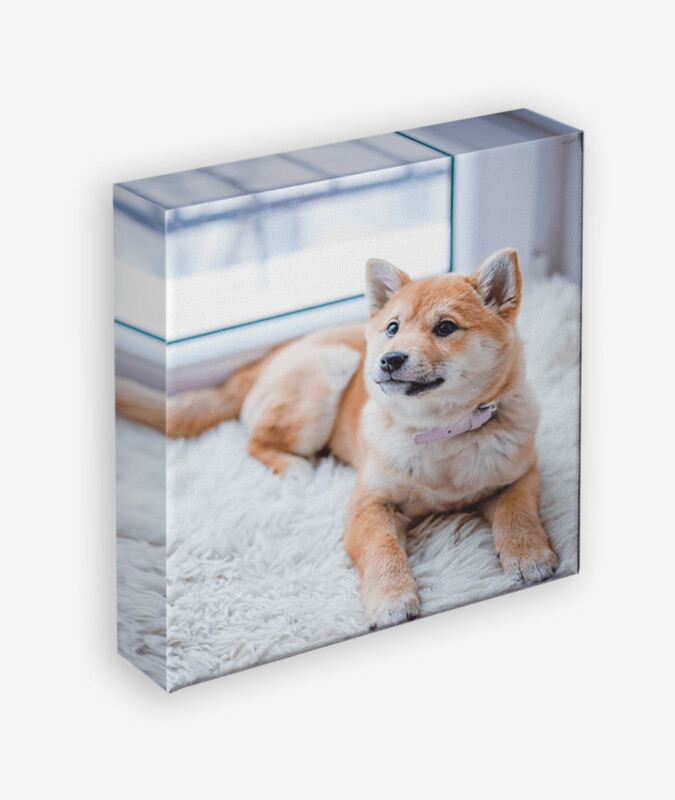 CANVAS WRAPS