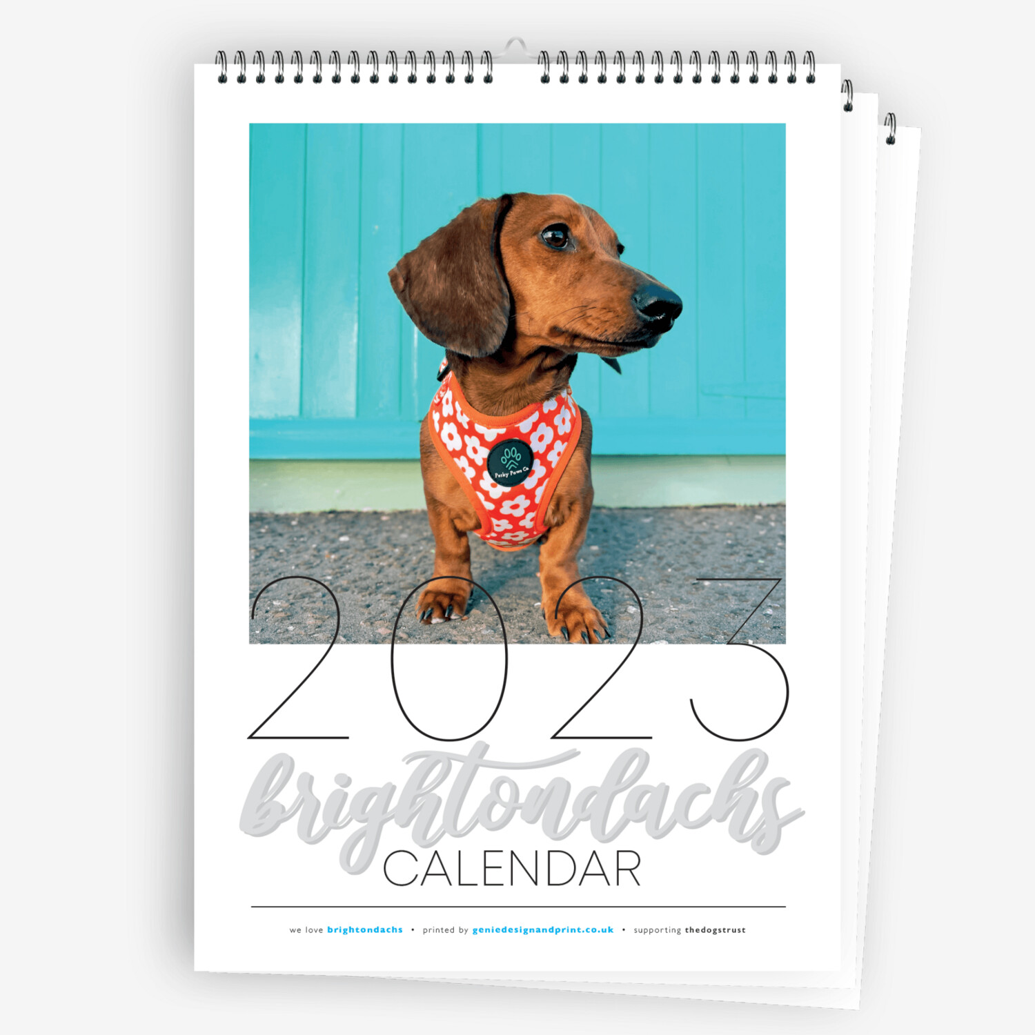 BRIGHTONDACHS 2023 CALENDAR • SUPPORTING DOGS TRUST