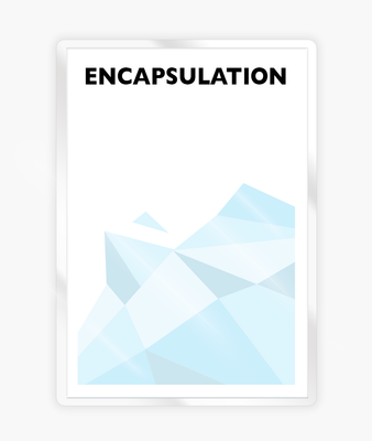 ENCAPSULATION • PROTECTIVE POUCH