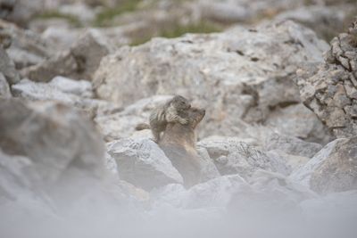 Photos nature