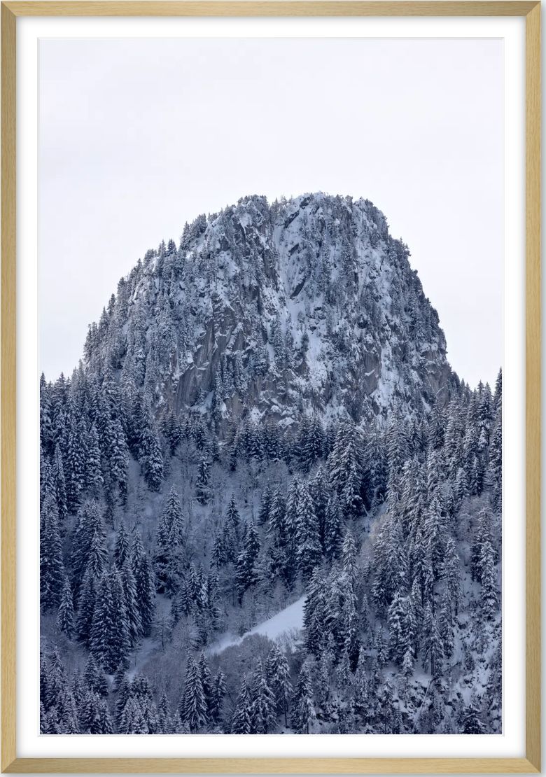 Snowy tooth