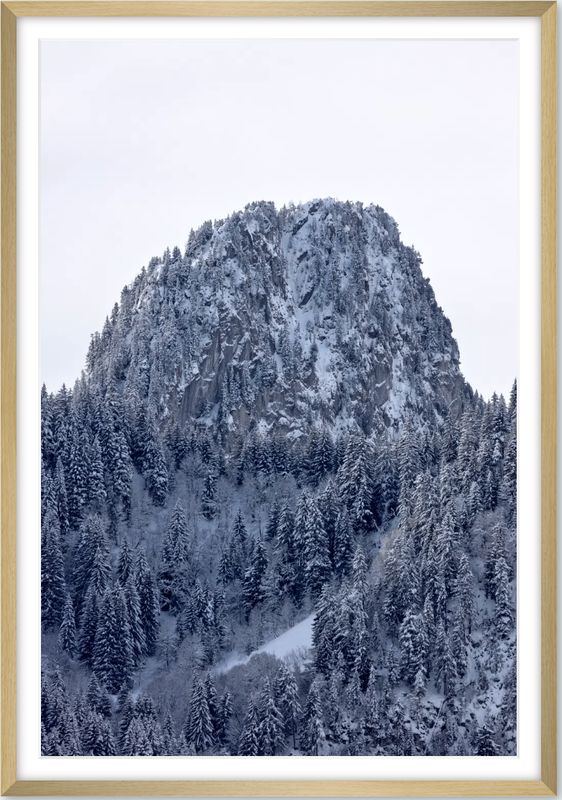 Snowy tooth