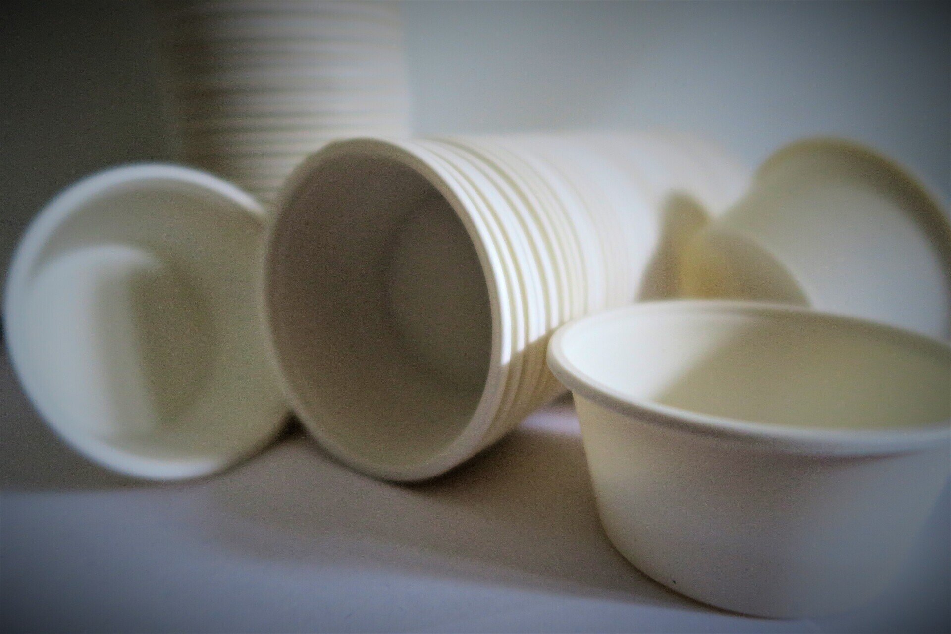 BIO Spülbecher aus Maisstärke, Biologisch abbaubar 100 Stk.