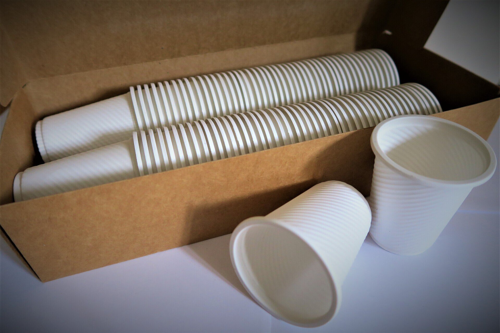 BIO PLA Spülbecher biologisch abbaubar 170ML 100 Stk.