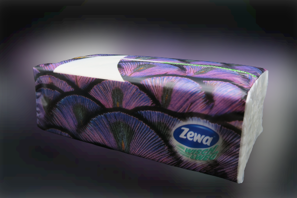 ZEWA Wisch&Weg Quick Pack (1 x 75 Blatt) ZEWA Wisch&Weg Quick Pack (1 x 75 Blatt)