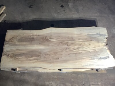 Bookmatched White Elm 3