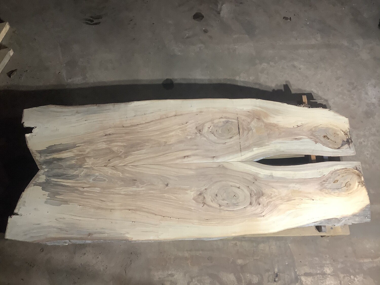 White Elm Bookmatch 4