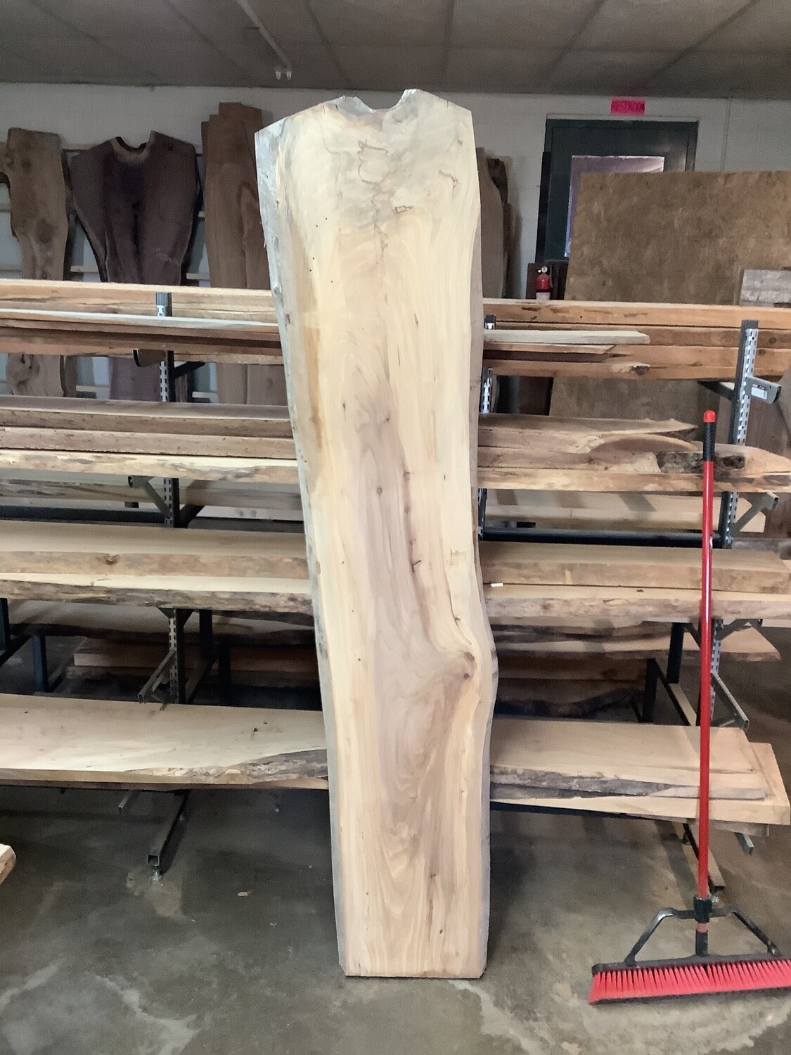 Elm Slab