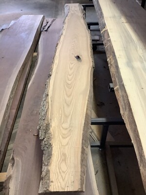 Ash Slab