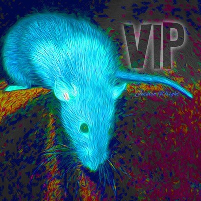 Join VIP - RRRA Only