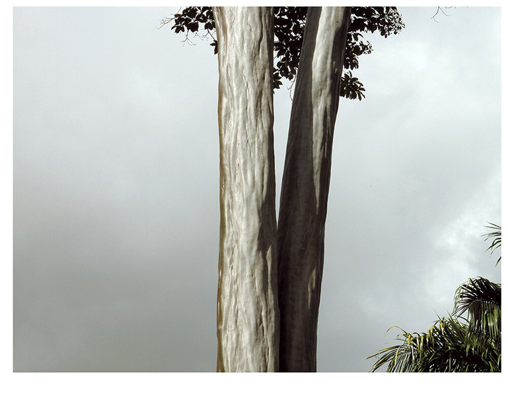 Scprints#06