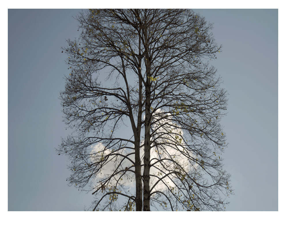 Scprints#02