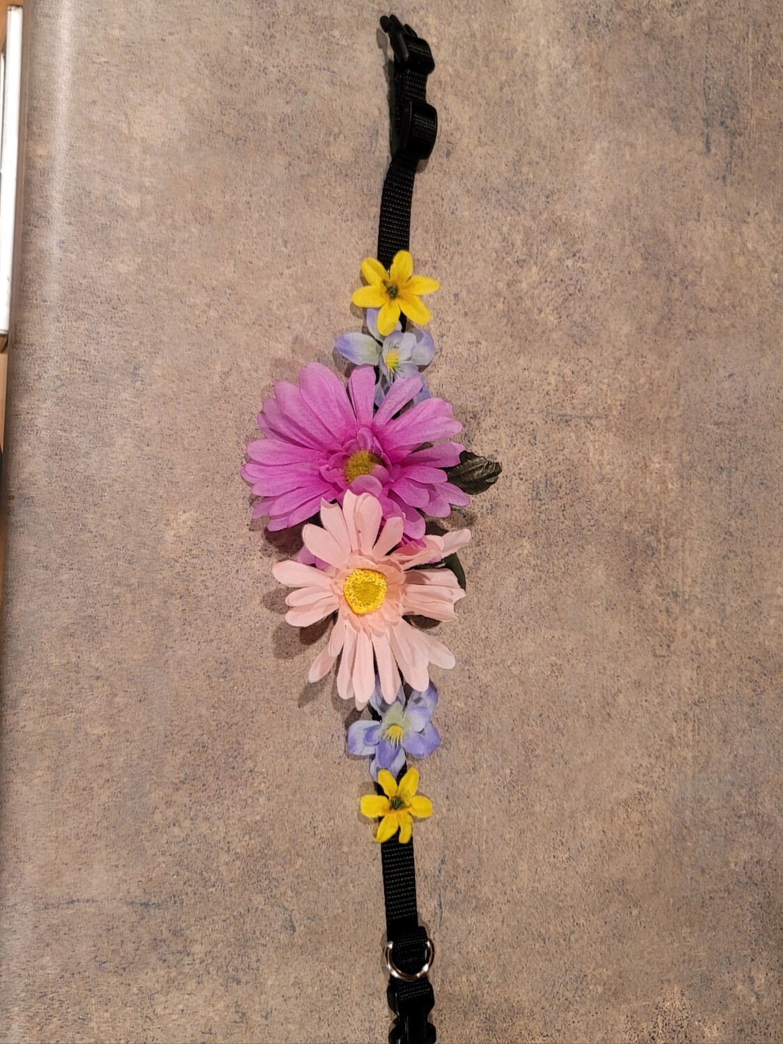 Decorative Dog Collar