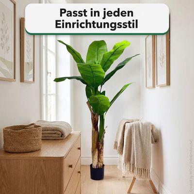 HST Kunstpflanze Bananenbaum im Topf 160 cm – täuschend echt, pflegeleicht, formbare Blätter – Kunstpalme Kunstblume Kunstbaum für Wohnzimmer Büro Schlafzimmer, Textilgewebe/PVC, Topf Ø 15 cm HST Kunstpflanze Bananenbaum im Topf 160 cm – täuschend echt, pflegeleicht, formbare Blätter – Kunstpalme Kunstblume Kunstbaum für Wohnzimmer Büro Schlafzimmer, Textilgewebe/PVC, Topf Ø 15 cm