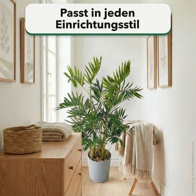 HST Kunstpflanze Bergpalme im Topf 80 cm – täuschend echt, pflegeleicht, formbare Blätter – Kunstpalme Kunstblume Kunstbaum für Wohnzimmer Büro Schlafzimmer, Textilgewebe/PVC, Topf Ø 15 cm