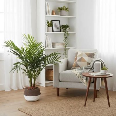 HST Kunstpflanze Mexikanische Bergpalme im Topf 65 cm täuschend echt, pflegeleicht, formbare Blätter – Kunstpalme Kunstblume Kunstbaum für Wohnzimmer Büro Schlafzimmer, Textilgewebe/PVC, Topf Ø 15 cm HST Kunstpflanze Mexikanische Bergpalme im Topf 65 cm täuschend echt, pflegeleicht, formbare Blätter – Kunstpalme Kunstblume Kunstbaum für Wohnzimmer Büro Schlafzimmer, Textilgewebe/PVC, Topf Ø 15 cm