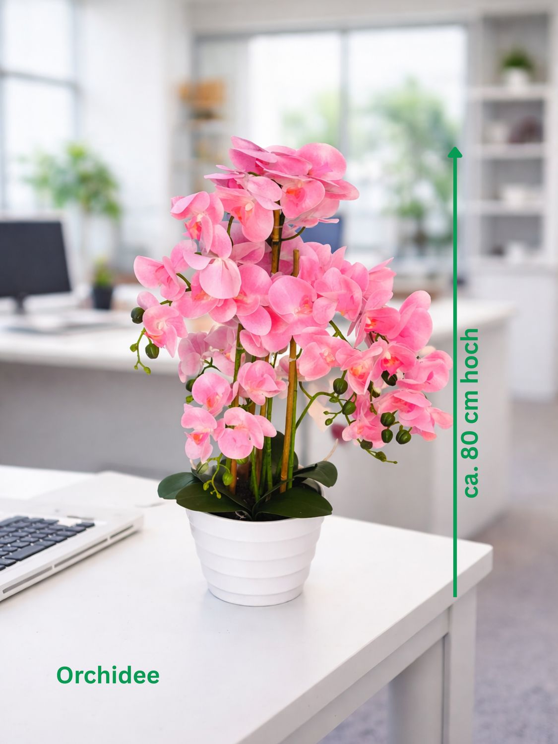 HST Kunstpflanze Orchidee im Topf ca. 80 cm täuschend echt, pflegeleicht, formbare Blätter – Kunstpalme Kunstblume Kunstbaum