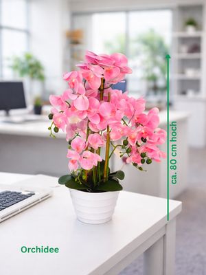 HST Kunstpflanze Orchidee im Topf ca. 80 cm täuschend echt, pflegeleicht, formbare Blätter – Kunstpalme Kunstblume Kunstbaum HST Kunstpflanze Orchidee im Topf ca. 80 cm täuschend echt, pflegeleicht, formbare Blätter – Kunstpalme Kunstblume Kunstbaum