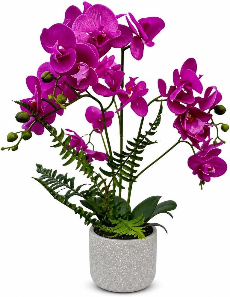 HST Kunstpflanze Orchidee 1 im Topf 60 cm Kunstpalme Kunstblume Kunstbaum HST Kunstpflanze Orchidee 1 im Topf 60 cm Kunstpalme Kunstblume Kunstbaum