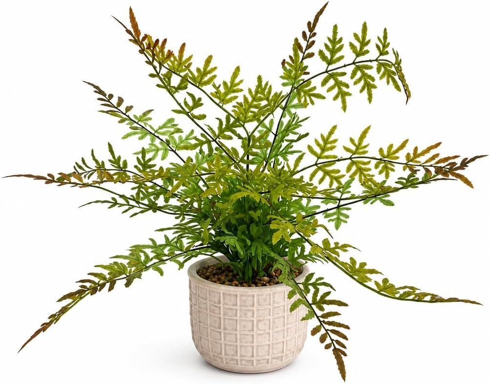 Kunstpflanze Saum Farn Kunstblume Kunstbaum Palme Zimmerpflanze Dekopflanze täuschend echt, pflegeleicht, formbare Blätter, Kunstbaum Kunstpflanze Saum Farn Kunstblume Kunstbaum Palme Zimmerpflanze Dekopflanze täuschend echt, pflegeleicht, formbare Blätter, Kunstbaum