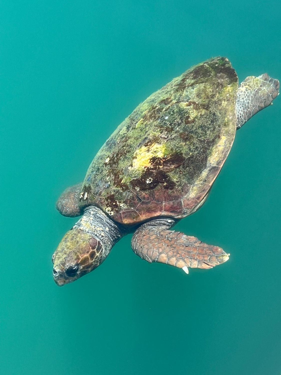 103: Segeln & Abenteuer  - Rhodos - Reise - Kreta  >19.04. - 01.05.2026