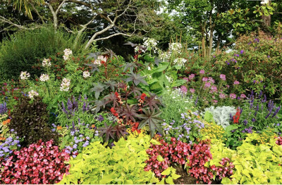 Gardening