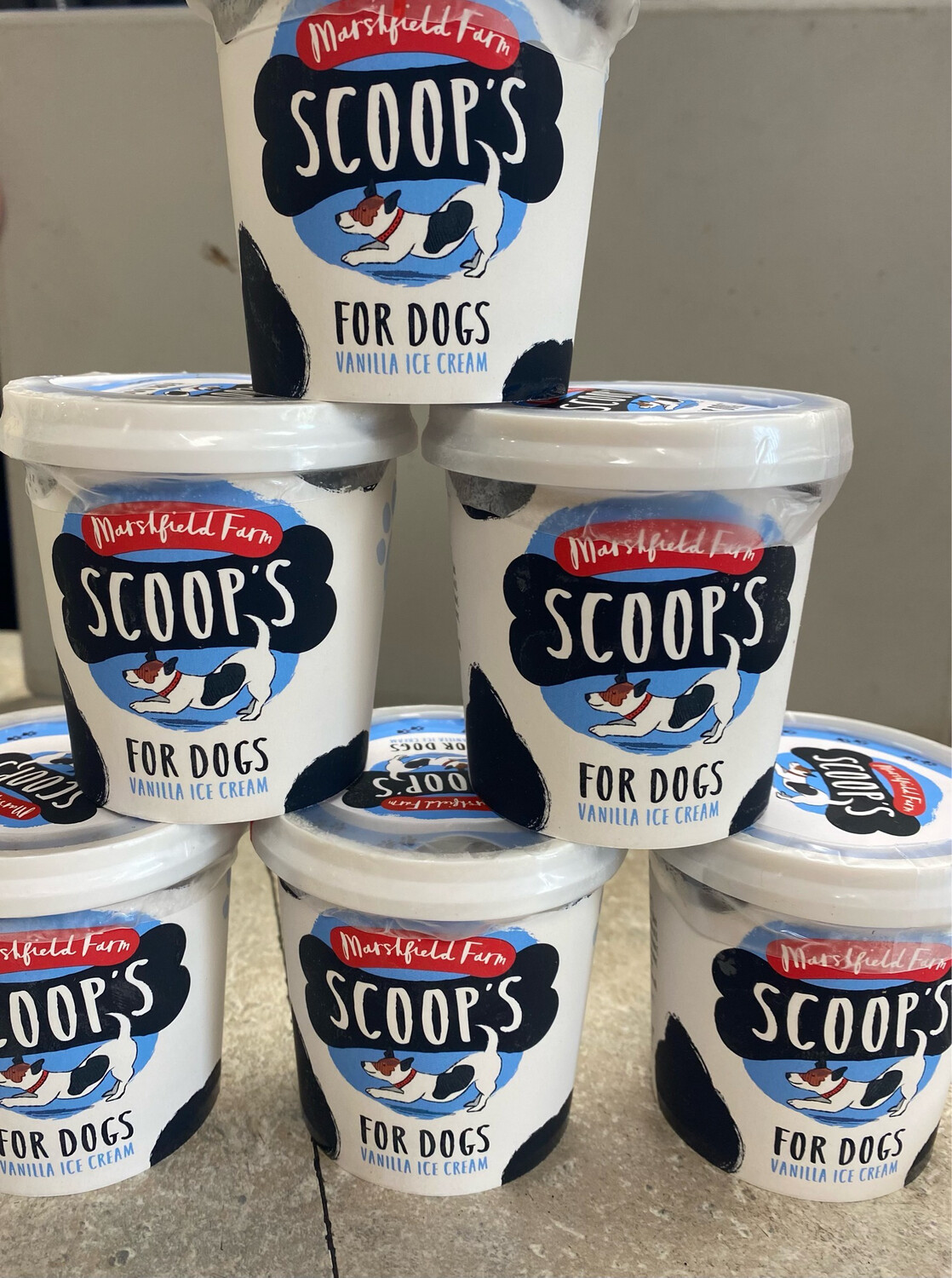 Doggy Icecream