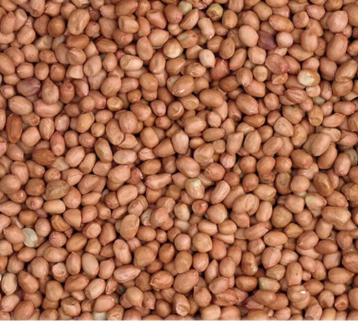 BIRD NUTS 20kg