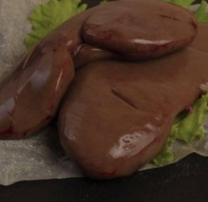 Pigs Kidney