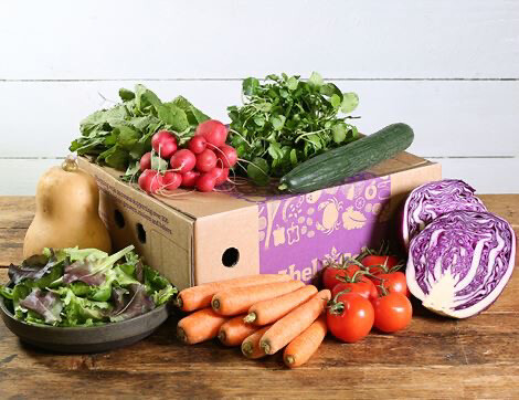 Salad Box