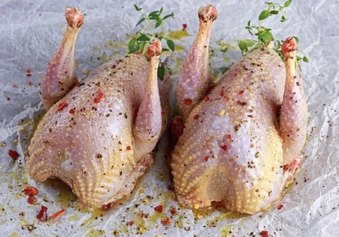 PHEASANT